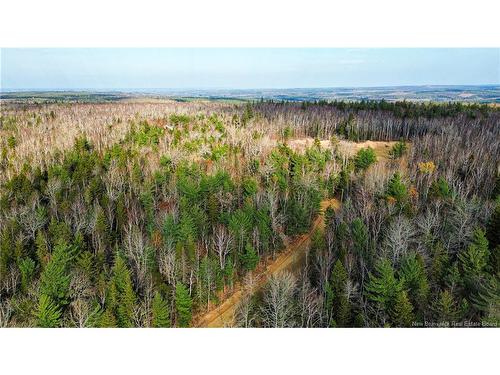 Lot #20 Green Rd, Elgin, NB 