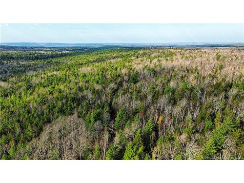 Lot #20 Green Rd, Elgin, NB 