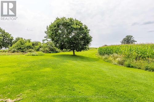 1878 Keene Road, Otonabee-South Monaghan, ON - Outdoor With View