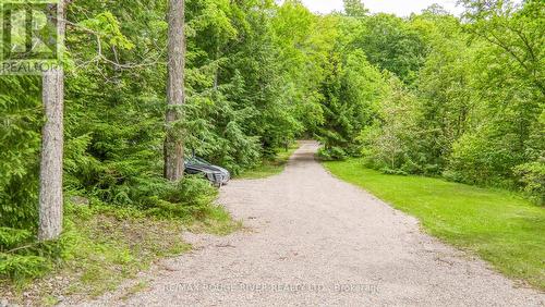 1039 West Cottage Drive W, North Frontenac, ON - Outdoor