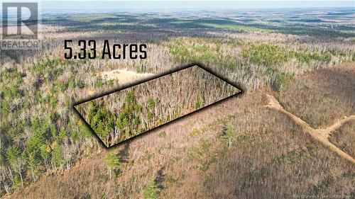 Lot #20 Green Road, Elgin, NB 