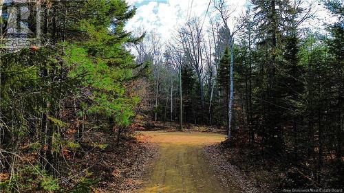 Lot #20 Green Road, Elgin, NB 