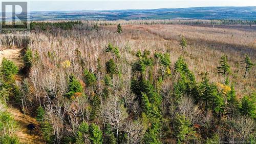 Lot #20 Green Road, Elgin, NB 