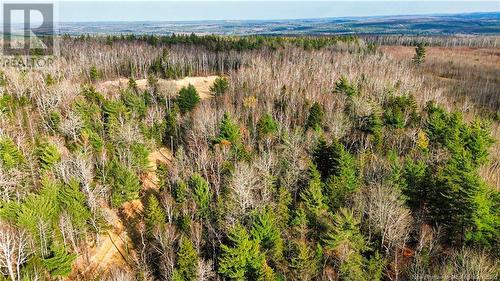 Lot #20 Green Road, Elgin, NB 