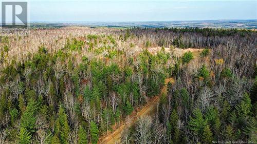 Lot #20 Green Road, Elgin, NB 