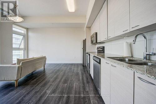 306 - 253 Albert Street, Waterloo, ON - Indoor Photo Showing Kitchen With Stainless Steel Kitchen With Double Sink With Upgraded Kitchen