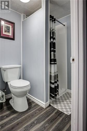 860 Beatrice Crescent, Greater Sudbury, ON - Indoor Photo Showing Bathroom