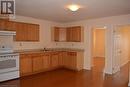 147 Weber Street E, Kitchener, ON  - Indoor Photo Showing Kitchen With Double Sink 