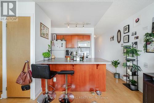 1517 - 255 Richmond Street E, Toronto, ON - Indoor