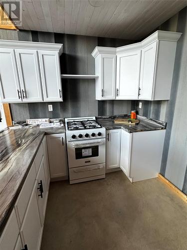 0 Little Joe Glodes Pond, Millertown Junction, NL - Indoor Photo Showing Kitchen