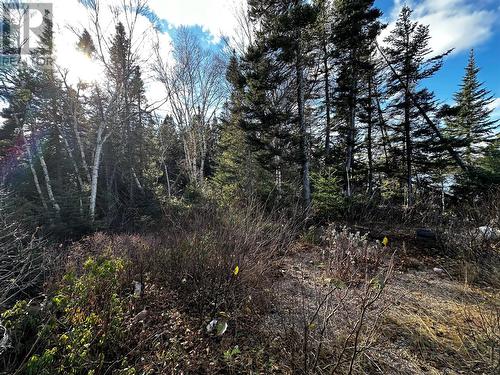 0 Little Joe Glodes Pond, Millertown Junction, NL - Outdoor With View