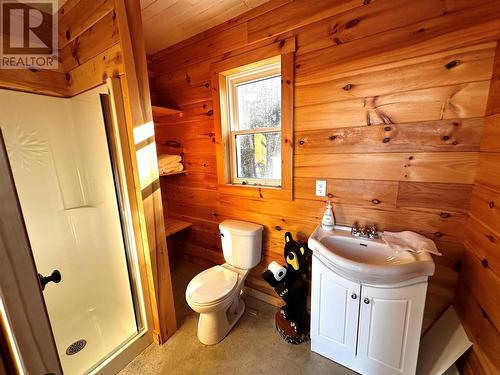 0 Little Joe Glodes Pond, Millertown Junction, NL - Indoor Photo Showing Bathroom