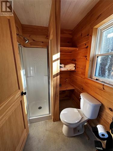 0 Little Joe Glodes Pond, Millertown Junction, NL - Indoor Photo Showing Bathroom