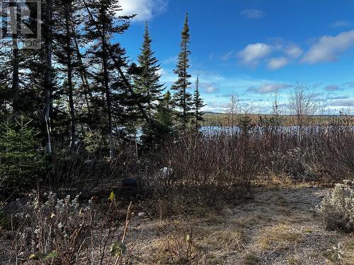 0 Little Joe Glodes Pond, Millertown Junction, NL - Outdoor With View