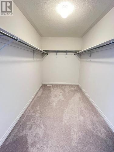 291 Trillium Court, Shelburne, ON - Indoor With Storage