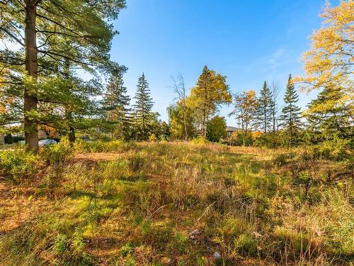 Land/Lot - Rue St-Jacques, Mont-Saint-Hilaire, QC 