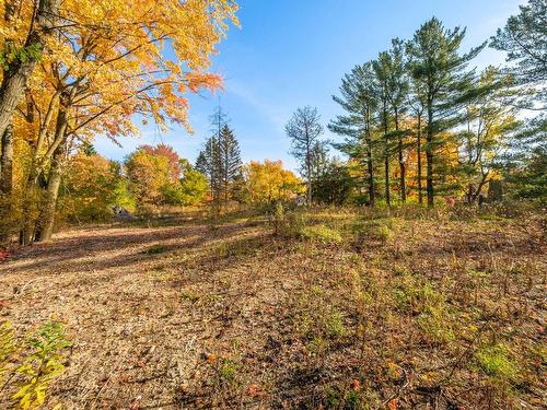 Terre/Terrain - Rue St-Jacques, Mont-Saint-Hilaire, QC 