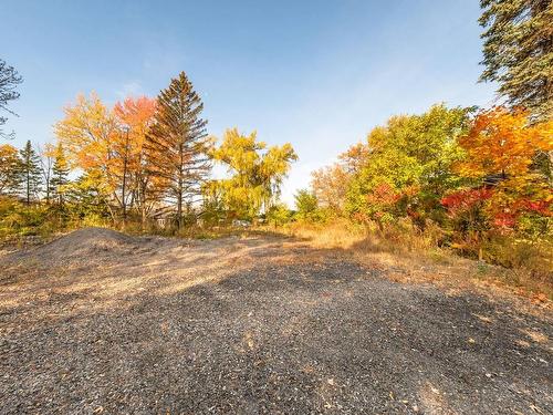 Terre/Terrain - Rue St-Jacques, Mont-Saint-Hilaire, QC 