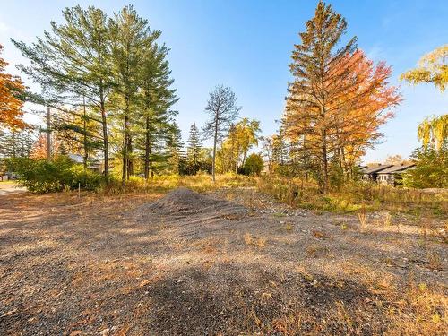 Land/Lot - Rue St-Jacques, Mont-Saint-Hilaire, QC 