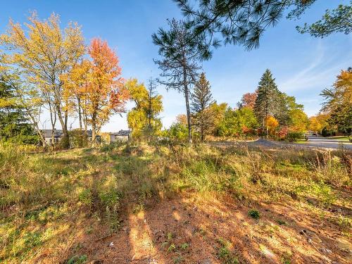 Land/Lot - Rue St-Jacques, Mont-Saint-Hilaire, QC 