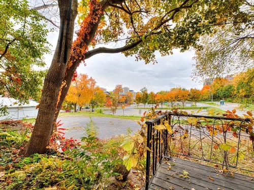 View - B-1636 Av. De Seaforth, Montréal (Ville-Marie), QC - Outdoor