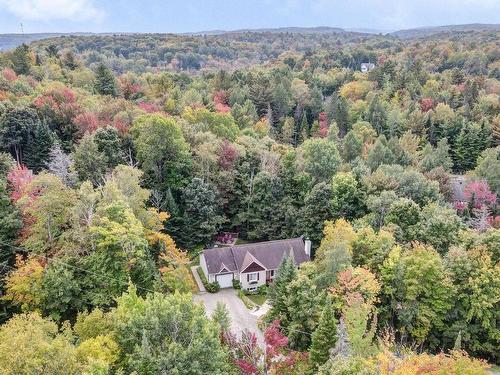 Overall view - 70 Ch. Du Bouton-D'Or, Sainte-Anne-Des-Lacs, QC - Outdoor With View