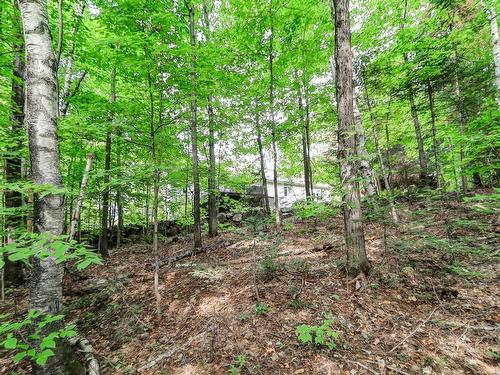 Overall view - 70 Ch. Du Bouton-D'Or, Sainte-Anne-Des-Lacs, QC - Outdoor