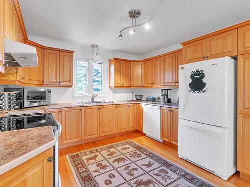 Kitchen - 2087 Ch. Lakeshore, Clarenceville, QC - Indoor Photo Showing Kitchen With Double Sink