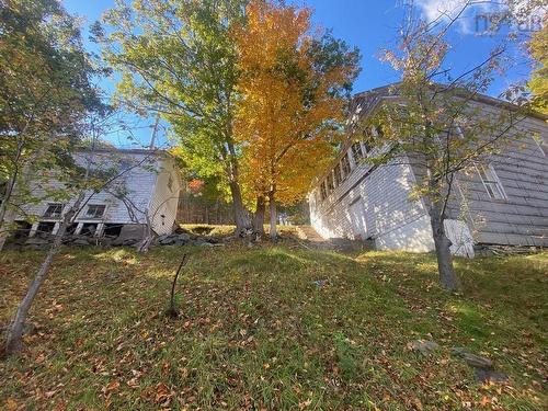 1165 River Road, Bear River, NS 