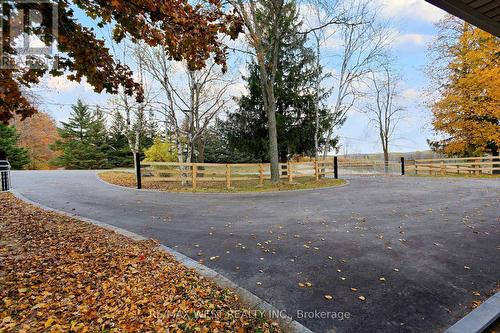 17200 12Th Concession Road, King, ON - Outdoor With View