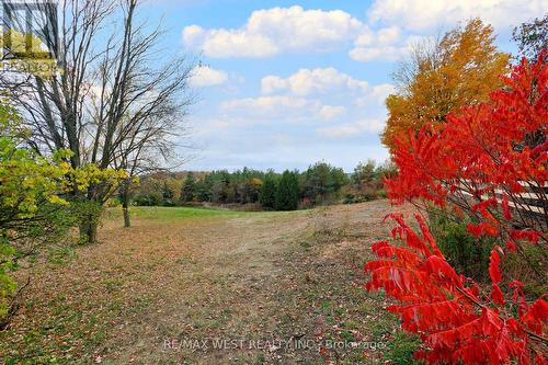 17200 12Th Concession Road, King, ON - Outdoor With View