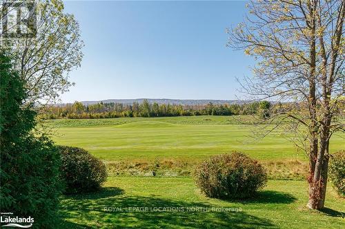 505 Oxbow Crescent, Collingwood, ON - Outdoor With View