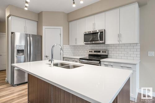 8538 Cushing Pl Sw, Edmonton, AB - Indoor Photo Showing Kitchen With Double Sink With Upgraded Kitchen