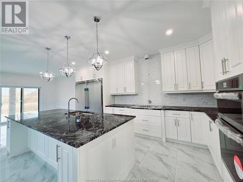 300 Benson Court, Amherstburg, ON - Indoor Photo Showing Kitchen With Double Sink With Upgraded Kitchen