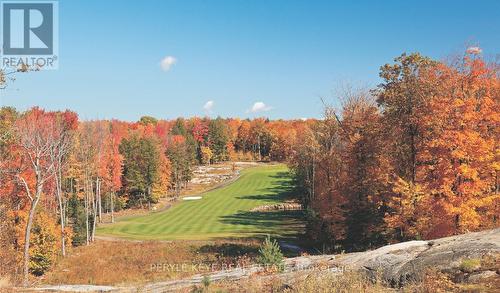 303 Clearwater Lake Road, Huntsville, ON - Outdoor With View