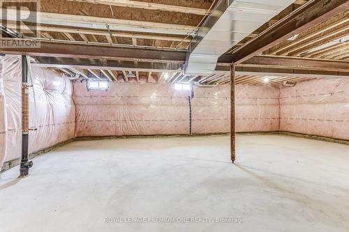 447 Black Cherry Crescent, Shelburne, ON - Indoor Photo Showing Basement