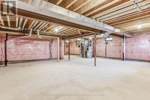 447 Black Cherry Crescent, Shelburne, ON - Indoor Photo Showing Basement