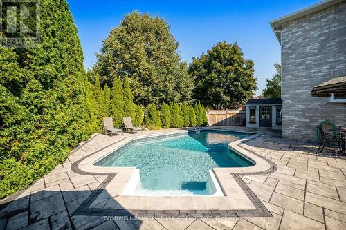 81 Willowbrook Drive, Whitby (Pringle Creek), ON - Outdoor With In Ground Pool With Backyard