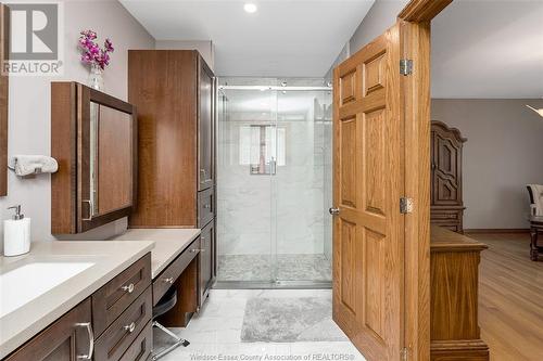 593 Dorset, Tecumseh, ON - Indoor Photo Showing Bathroom