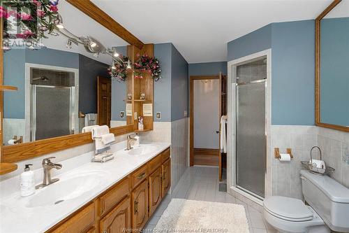 593 Dorset, Tecumseh, ON - Indoor Photo Showing Bathroom