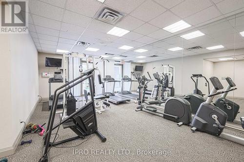 107 - 19 Northern Heights Drive, Richmond Hill, ON - Indoor Photo Showing Gym Room