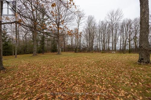 582 Wilson Line, Cavan Monaghan, ON - Outdoor With View