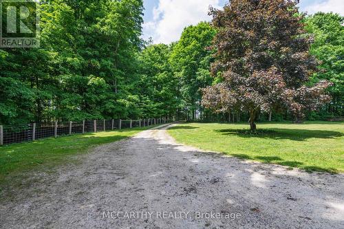 346244 4Th Concession B, Grey Highlands, ON - Outdoor