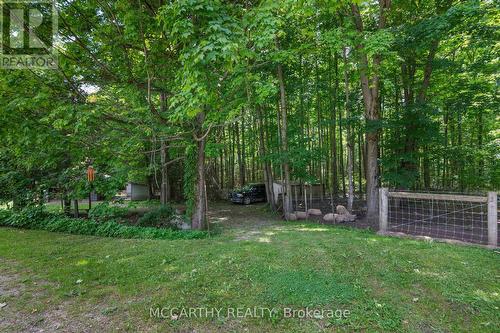 346244 4Th Concession B, Grey Highlands, ON - Outdoor