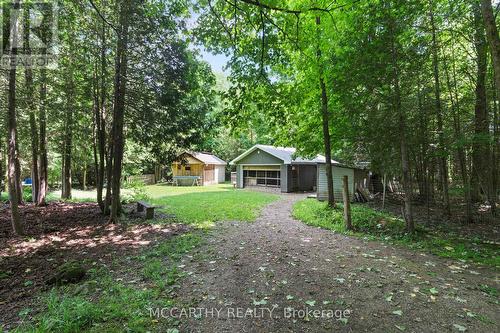 346244 4Th Concession B, Grey Highlands, ON - Outdoor