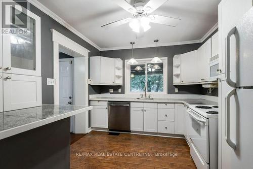 107 Wellington Street N, Kitchener, ON - Indoor Photo Showing Kitchen