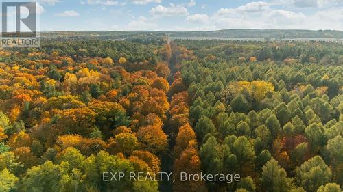 1167 Bowmanton Road, Alnwick/Haldimand, ON - Outdoor With View