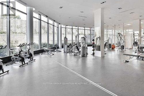 2106 - 88 Park Lawn Road, Toronto, ON - Indoor Photo Showing Gym Room