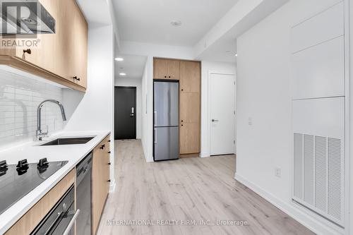 305 - 9 Tecumseth Street, Toronto, ON - Indoor Photo Showing Kitchen With Upgraded Kitchen