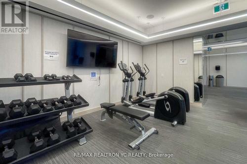 625 - 115 Blue Jays Way, Toronto, ON - Indoor Photo Showing Gym Room